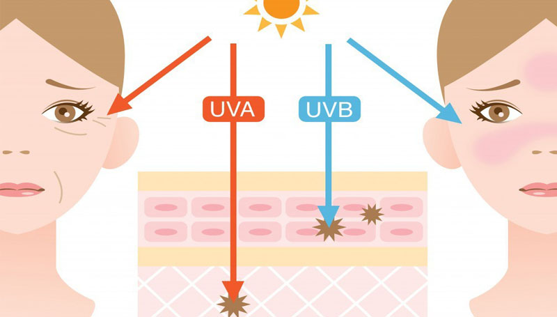 UVB vs UVA